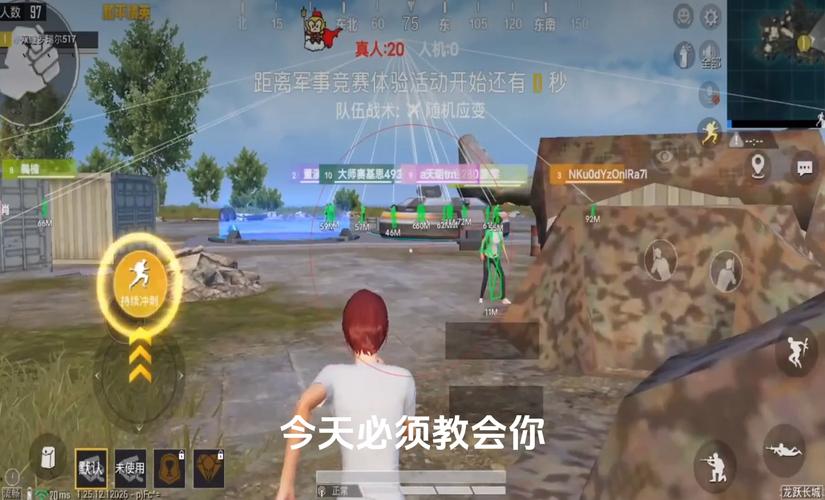 和平精英《牛牛》辅助